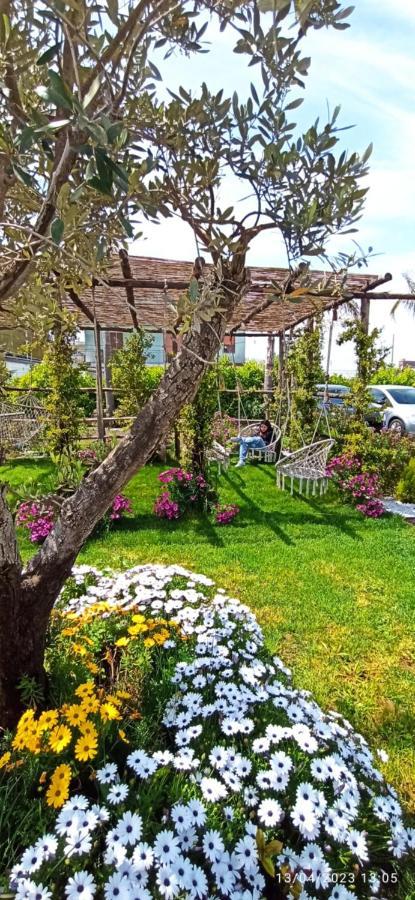 La Villa Degli Dei - Guest House Castellammare di Stabia Luaran gambar