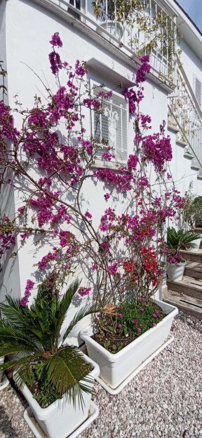 La Villa Degli Dei - Guest House Castellammare di Stabia Luaran gambar
